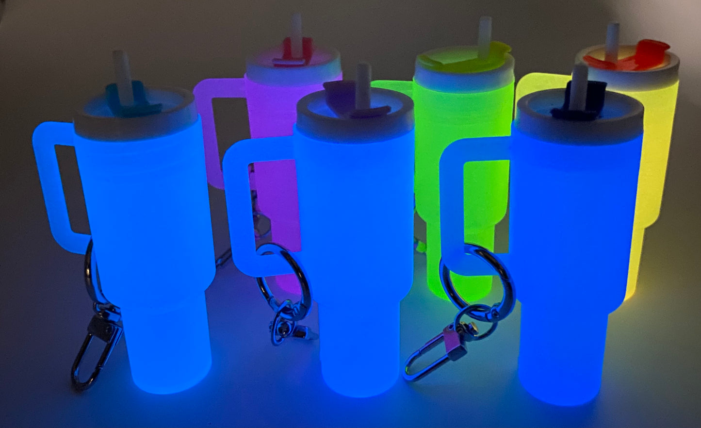 Mini Chapstick Tumbler Holder Keychain