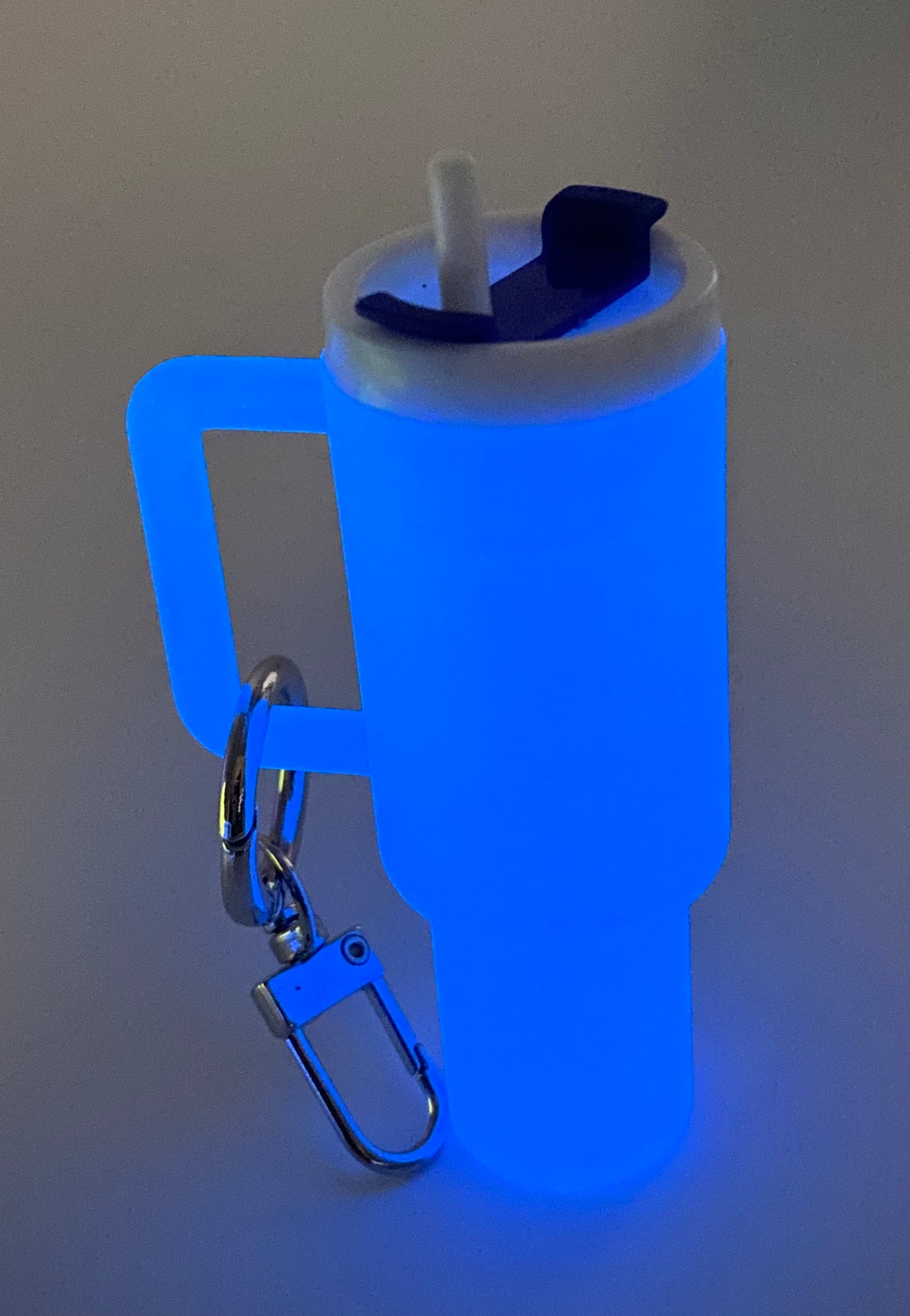 Mini Chapstick Tumbler Holder Keychain