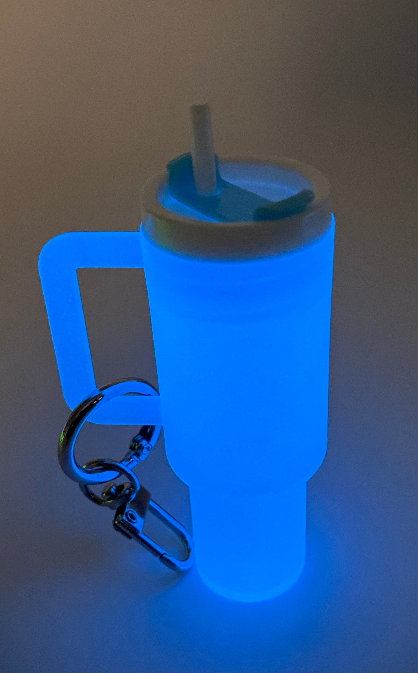 Mini Chapstick Tumbler Holder Keychain