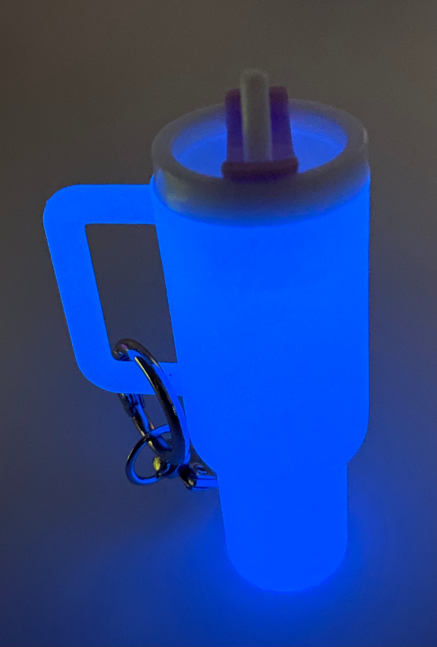 Mini Chapstick Tumbler Holder Keychain