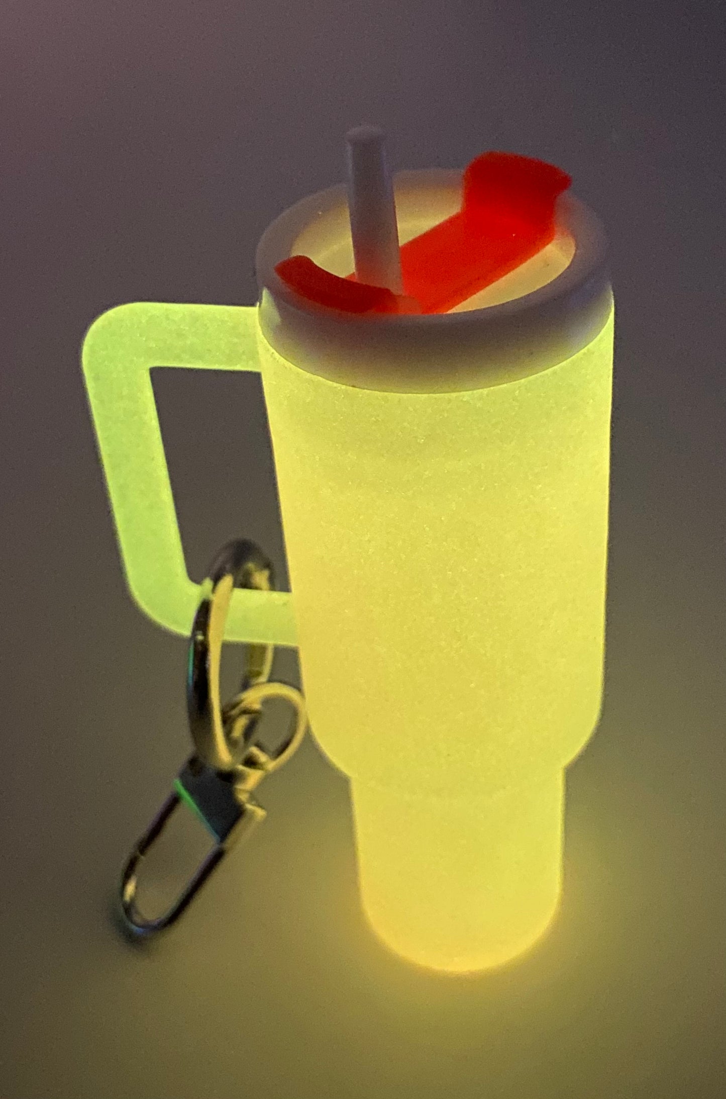 Mini Chapstick Tumbler Holder Keychain