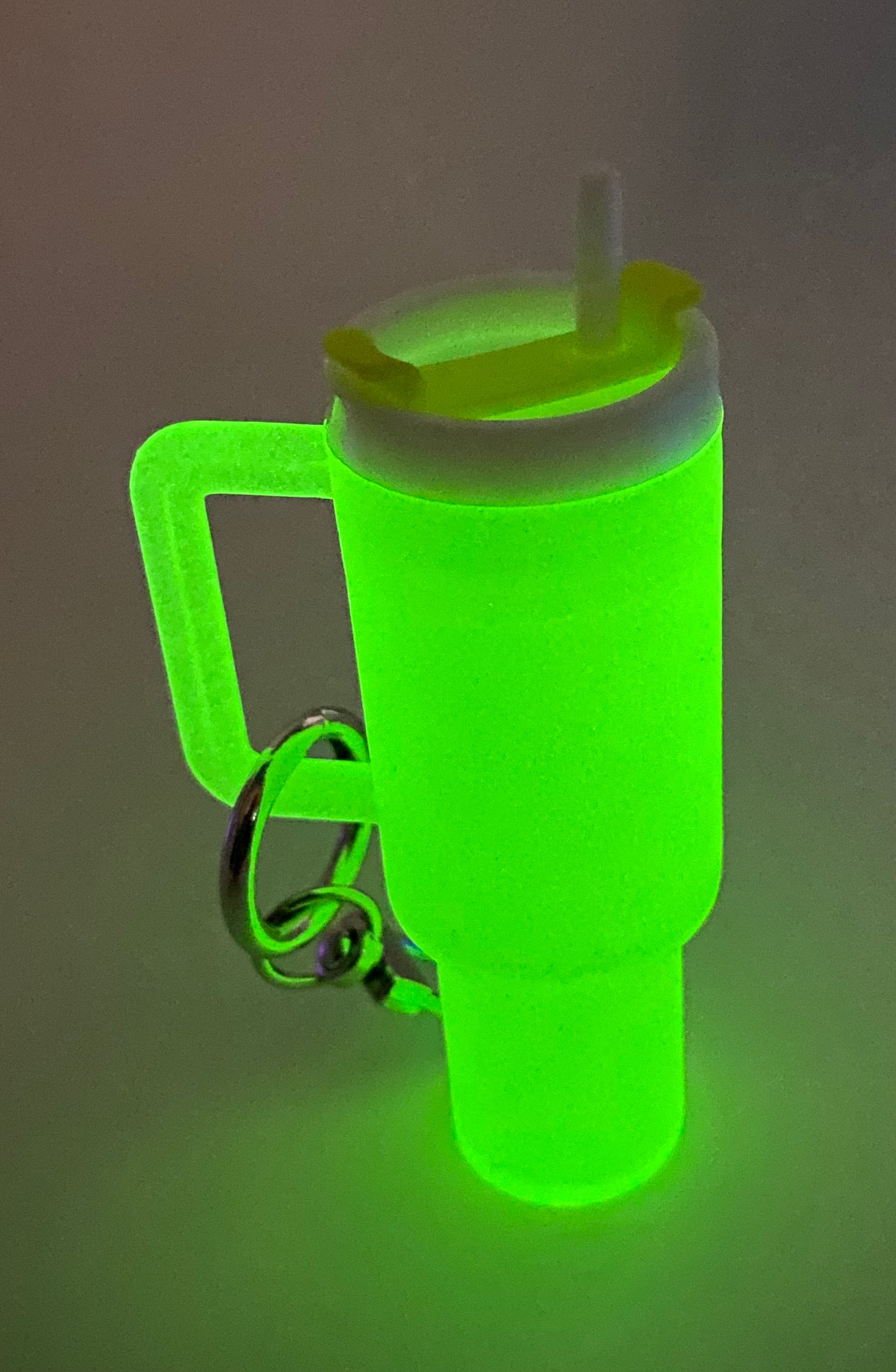 Mini Chapstick Tumbler Holder Keychain