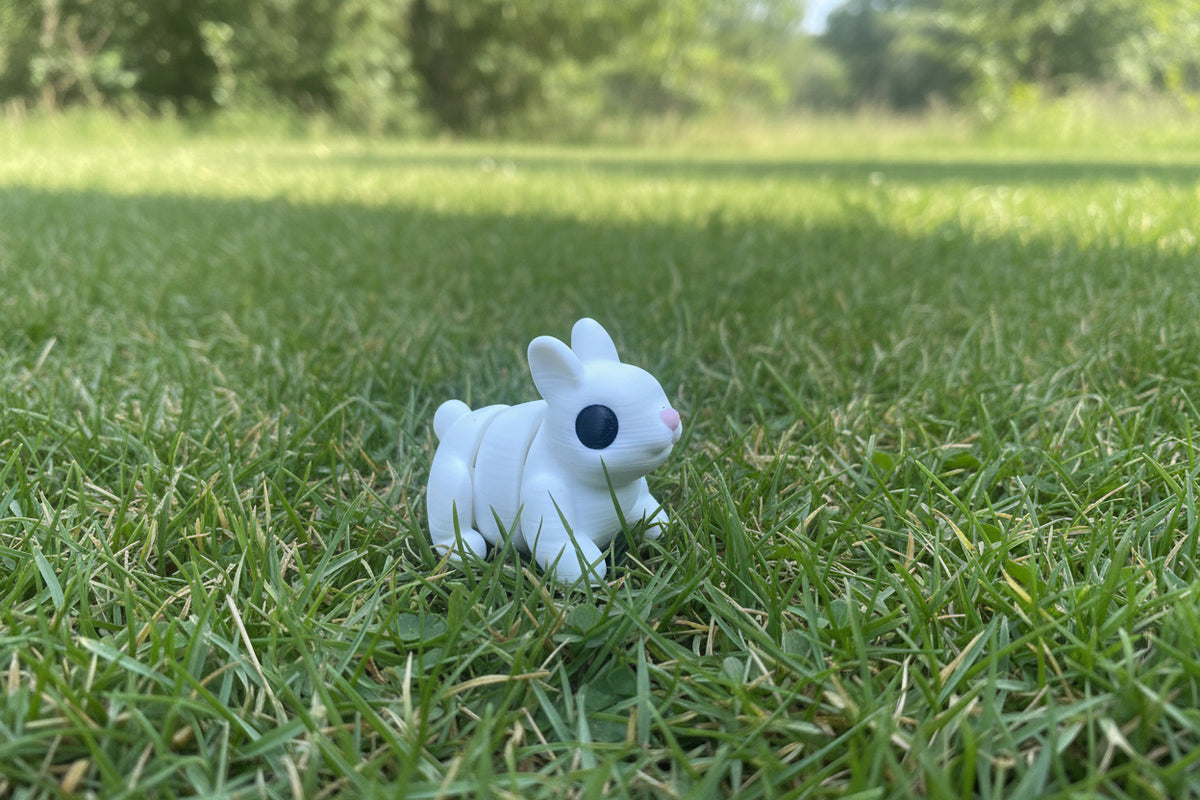 Articulated Animals – 3D Printed Flexi Fidget Toy